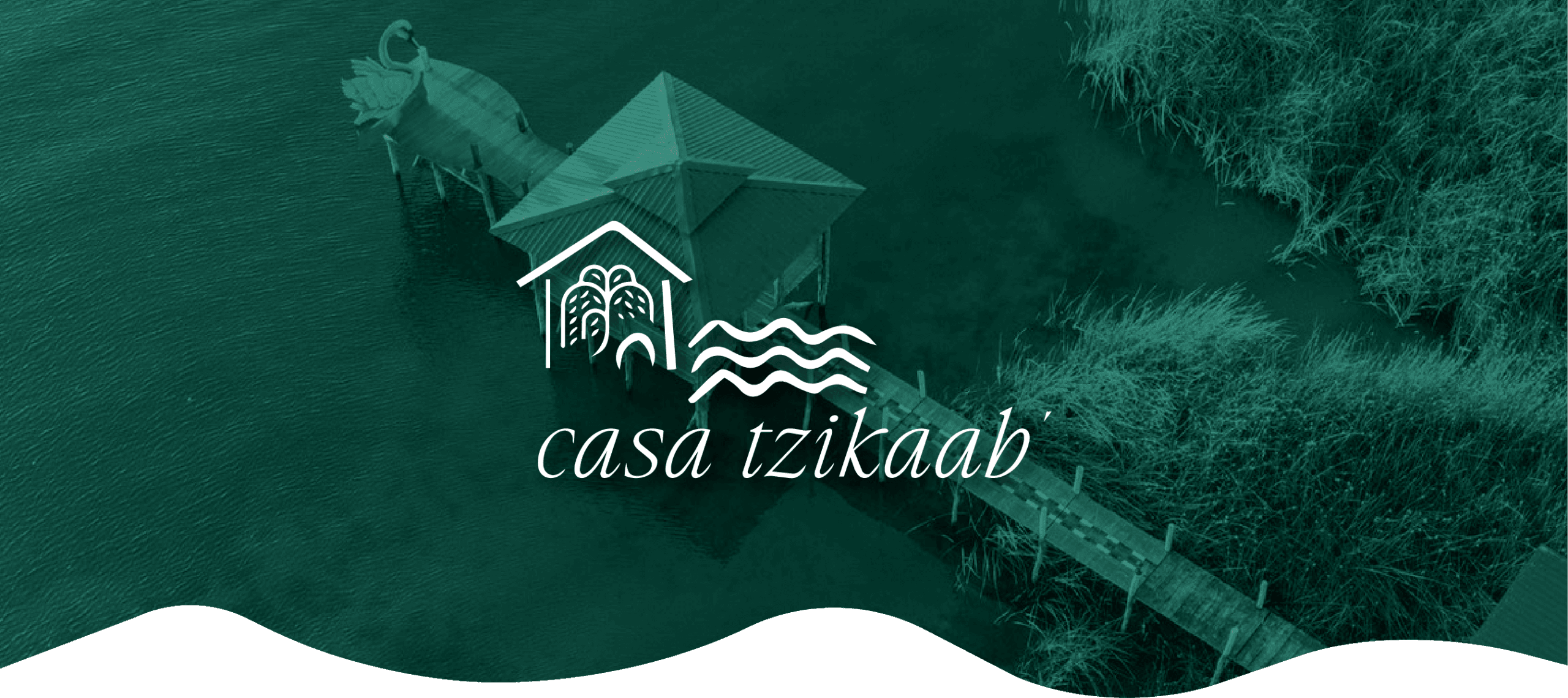 Encabezado_Logo